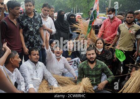 Kalkutta, Indien. September 2020. Kongreßaktivisten nehmen an einer Demonstration Teil, um gegen den Farm Bill 2020 zu protestieren. (Foto von Ved Prakash/Pacific Press) Quelle: Pacific Press Media Production Corp./Alamy Live News Stockfoto