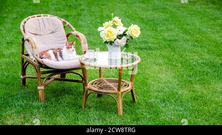 Katze auf Sessel Holzgartenmöbel auf Rasen im Freien zum Entspannen an heißen Sommertagen. Gartenlandschaft mit zwei Stühlen in der Natur. Ruhen Sie sich aus Stockfoto