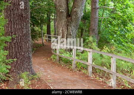 Naturlehrpfad im Rachel Carson National Wildlife Refuge in Wells, Maine. Stockfoto