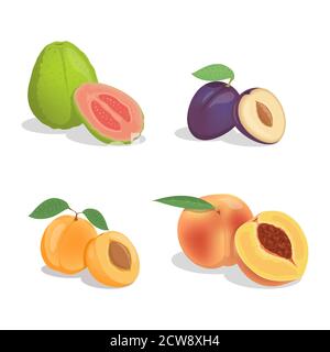 Guava, Pflaume, Aprikose und Pfirsich Vektor Cartoon Illustration isoliert auf weißem Hintergrund. Süße köstliche tropische Früchte und Scheiben voller Vitamine. Frische saftige exotische Früchte für eine gesunde Ernährung. Stock Vektor