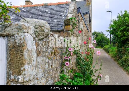 Ile de Brehat, Frankreich - 27. August 2019: Küstenlandschaft auf der malerischen Insel Ile de Brehat im Departement Cotes-d'Armor der Bretagne, Frankreich Stockfoto