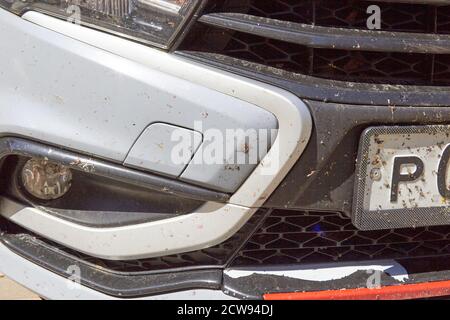 Insekten auf dem Auto auf dem Stoßfänger Lackierung. Stockfoto