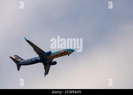 Ein von WestJet betriebenes Passagierflugzeug vom Typ Boeing 737-800 (Registrierung C-GWSV) bereitet sich auf die Landung in Ottawa, Ontario, Kanada, vor. Das Flugzeug ist in einem D lackiert Stockfoto