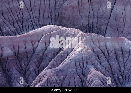 Aufnahme im Petrified Forest NP Arizona. Porträt der gemalten Wüste. Stockfoto