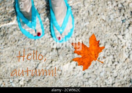 Hallo, Herbstkarte. Türkisfarbene Flip Flops unter Wasser und orange abgerissene Ahornblätter. Klares Wasser. Kroatien Stockfoto