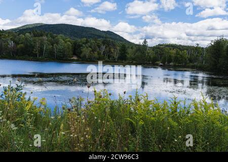 Ein schöner Teich umgeben von Wildblumen in den Adirondack Mountains Stockfoto
