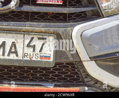 Insekten auf dem Auto auf dem Stoßfänger Lackierung. Stockfoto