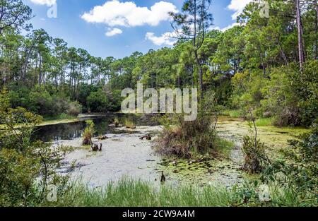 Davis Bayou, Gulf Islands National Seashore in der Nähe von Ocean Springs, Mississippi, USA. Stockfoto