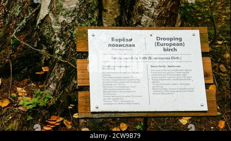 Kivac ist ein Reservat und Wasserfall in der Republik Karelien, Russische Föderation. Ein sehr schönes Hotel Stockfoto