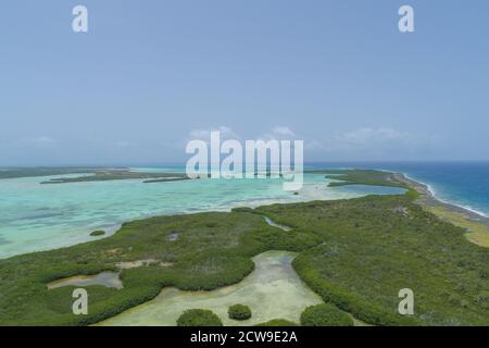 Landschaft Drohne Karibische Insel mit Mangrovenwald in Los Roques Nationalpark Venezuela Stockfoto