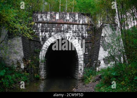 Verlassene alte Militärtunnel im Wald. Stockfoto