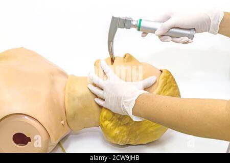 Hand und weiße medizinische Handschuhe des Arztes Demonstration Reanimation CPR-Technik durch Laryngoskop Klinge für Einsatz Endotrachealtubus auf Modell Stockfoto