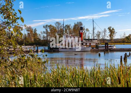 Segelschiffe an der Britannia Ship Yard Dock gebunden In Steveston British Columbia Kanada Stockfoto