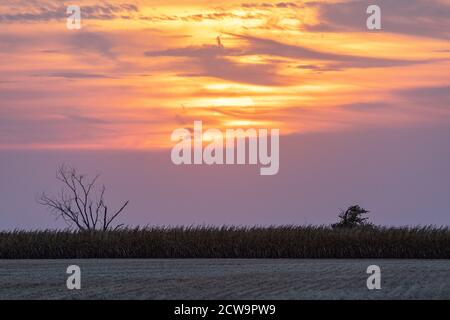 Herbstuntergang in Iowa, USA Stockfoto