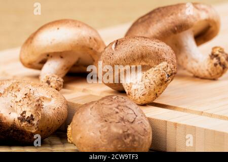 Ein Hintergrund von köstlichen essbaren braunen Pilzen Stockfoto