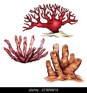 Set von verschiedenen bunten Cartoon Korallen. Das Objekt ist vom Hintergrund getrennt. Illustration zum Bedrucken von T-Shirts, Covern, Aufklebern und Ihrem d Stock Vektor