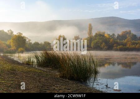 Nebel über dem See an einem Herbstmorgen. Schöne Herbstlandschaft mit Spiegelung im See. See und Enten. Helle goldene Herbstbäume. Ein leichtes tr Stockfoto
