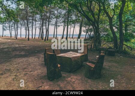 Picknickplatz mit Holztisch und Bänken im Wald Stockfoto