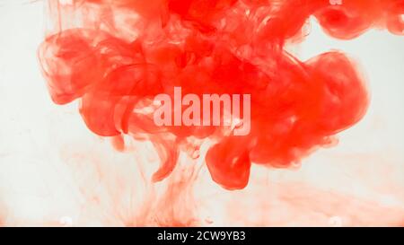 Rote Tinte Tropfen in Wasser auf weißem Hintergrund. Aquarell malen Splash abstrakt. Stockfoto