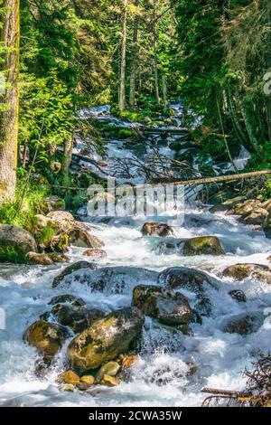 Das Wasser eines stürmischen Gebirgsflusses, der zwischen Steinen fließt Und Felsbrocken Stockfoto