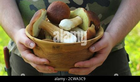 Männer halten Schüssel mit Steinpilzen auf grünem Hintergrund, Nahaufnahme Stockfoto