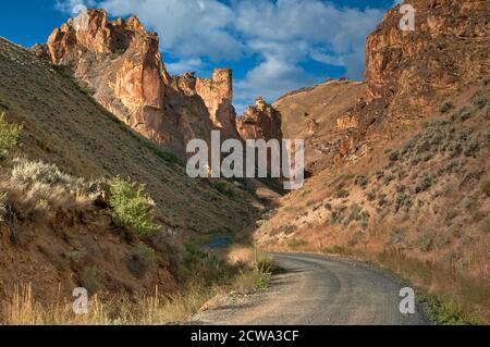 Feldweg, vulkanischen Rhyolith Felsformationen in Leslie Gulch nahe Owyhee See, Mahagoni Berg Caldera, hohe Wüste Region, Oregon, USA Stockfoto