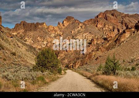 Feldweg, vulkanischen Rhyolith Felsformationen in Leslie Gulch nahe Owyhee See, Mahagoni Berg Caldera, hohe Wüste Region, Oregon, USA Stockfoto