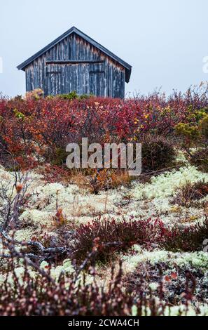 Herbst morgen am Fokstumyra Nature Reserve, Dovre, Norwegen. Stockfoto