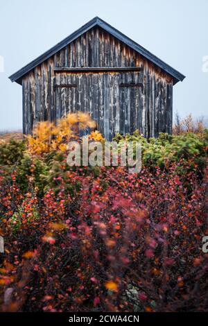 Herbst morgen am Fokstumyra Nature Reserve, Dovre, Norwegen. Stockfoto