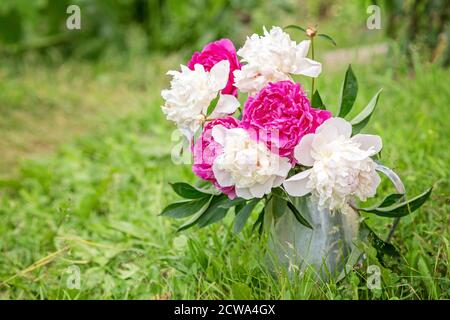 Bouquet von schönen Pfingstrosen im Garten. Rosa und weiße Pfingstrosen in einem Blechkrug. Weichfokus - Bild Stockfoto