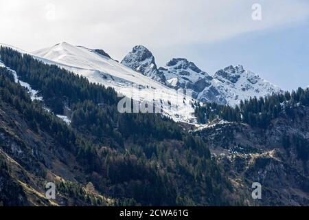 Allgäuer Berge, Oberstdorf, Stillachtal, Baumgrenze, Frühling; Berge, schneit; Bayern, Deutschland Stockfoto