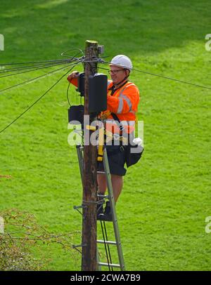 Openreach Ingenieur auf Leiter oben auf Holzmast, Arbeiten an Telekommunikationsausrüstung. Bowling Fell, Kendal, Cumbria, England, Vereinigtes Königreich, Europa. Stockfoto