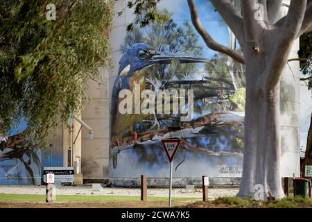 September 2020. Australian Silo Art. Rochester, Victoria, Australien Stockfoto