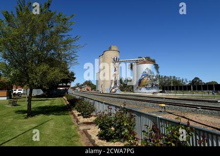 September 2020. Australian Silo Art. Rochester, Victoria, Australien Stockfoto