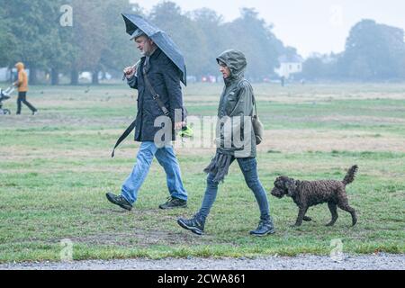 WIMBLEDON LONDON, GROSSBRITANNIEN, 29. SEPTEMBER 2020. Ein Hundespaziergänger trotzt dem starken Regen Nieselregen am Morgen auf Wimbledon Common. Kredit: amer ghazzal/Alamy Live Nachrichten Stockfoto