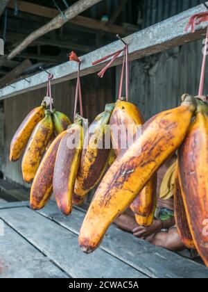 Riesige Orangenbananen hängen an einem Marktstand in einer kleinen Stadt auf der Insel Ambon, Maluku, Indonesien. Asien Stockfoto