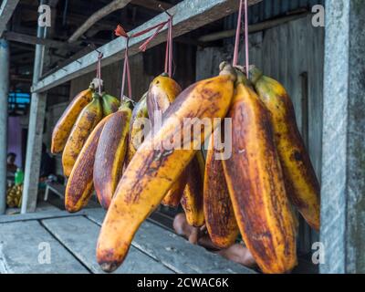 Riesige Orangenbananen hängen an einem Marktstand in einer kleinen Stadt auf der Insel Ambon, Maluku, Indonesien. Asien Stockfoto