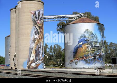 Australische Silo Art. Rochester, Victoria Stockfoto