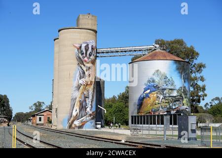 Australische Silo Art. Rochester, Victoria Stockfoto