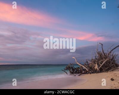 Schöner tropischer Strand auf der kleinen Insel während des Sonnenuntergangs, Venu Insel, Pulau Venu, in der Nähe von Kaimana, West Papua, Indonesien Stockfoto