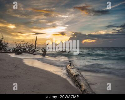 Schöner tropischer Strand auf der kleinen Insel während des Sonnenuntergangs, Venu Insel, Pulau Venu, in der Nähe von Kaimana, West Papua, Indonesien Stockfoto