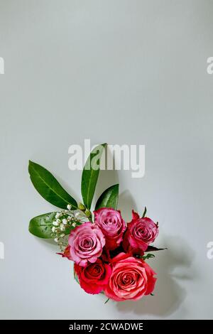 Kreatives Layout mit schönen rosa Rosen Blumen und grünen Blättern auf grauem Hintergrund. Flaches Lay. Grußkartenkonzept Stockfoto