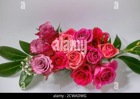 Kreatives Layout mit schönen rosa Rosen Blumen und grünen Blättern auf grauem Hintergrund. Flaches Lay. Grußkartenkonzept Stockfoto