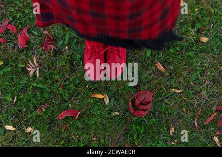 Rote Stiefel sind auf dem Boden unter den Herbstblättern. Rote Schuhe und rote Herbstblätter. Blick von oben. Herbstmotiv. Platz für die Beschriftung Stockfoto