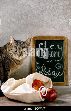 Tabby Katze in Aufenthalt zu Hause Quarantäne Isolationszeit Konzept. Vintage Kreidetafel mit handgeschriebener Kreide Schriftzug zu Hause bleiben und entspannen, sitzende Katze, Tasche Stockfoto