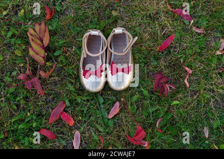 Schöne Baby silberne Schuhe stehen auf dem Boden mit Herbstblättern. Rote Blätter liegen auf grünem Gras. Schuhe mit roten Schleifen. Blick von oben. Flaches Layout Stockfoto