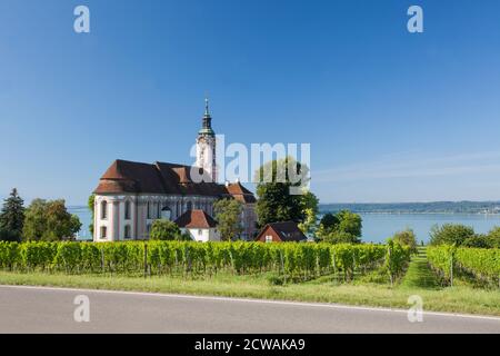 Wallfahrtskirche Birnau mit Weinbergen, Uhldingen-Mühlhofen, Bodensee, Oberschwaben, Baden-Württemberg, Deutschland, Europa Stockfoto