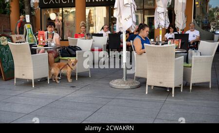 Belgrad, Serbien, 17. Sep 2020: Eines der Outdoor-Cafés mit Gästen in der Gospodska Straße in Zemun Stockfoto