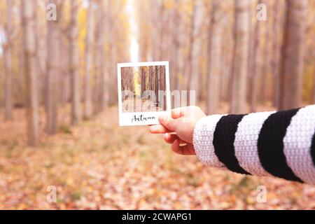 Nahaufnahme der Hand der Frau, die einen Schnappschuss mit der Landschaft eines Waldes in der Herbstsaison zusammenhält. Stockfoto