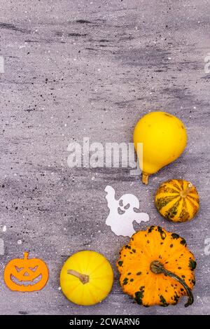 Verschiedene kleine Kürbisse und Halloween-Symbole - Fledermaus, Geist, Hexenhut und Jack o Laterne aus Filz. Grauer Stein Beton Hintergrund, Draufsicht Stockfoto